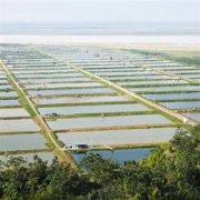 水池、魚塘、人工湖防滲工程案例
